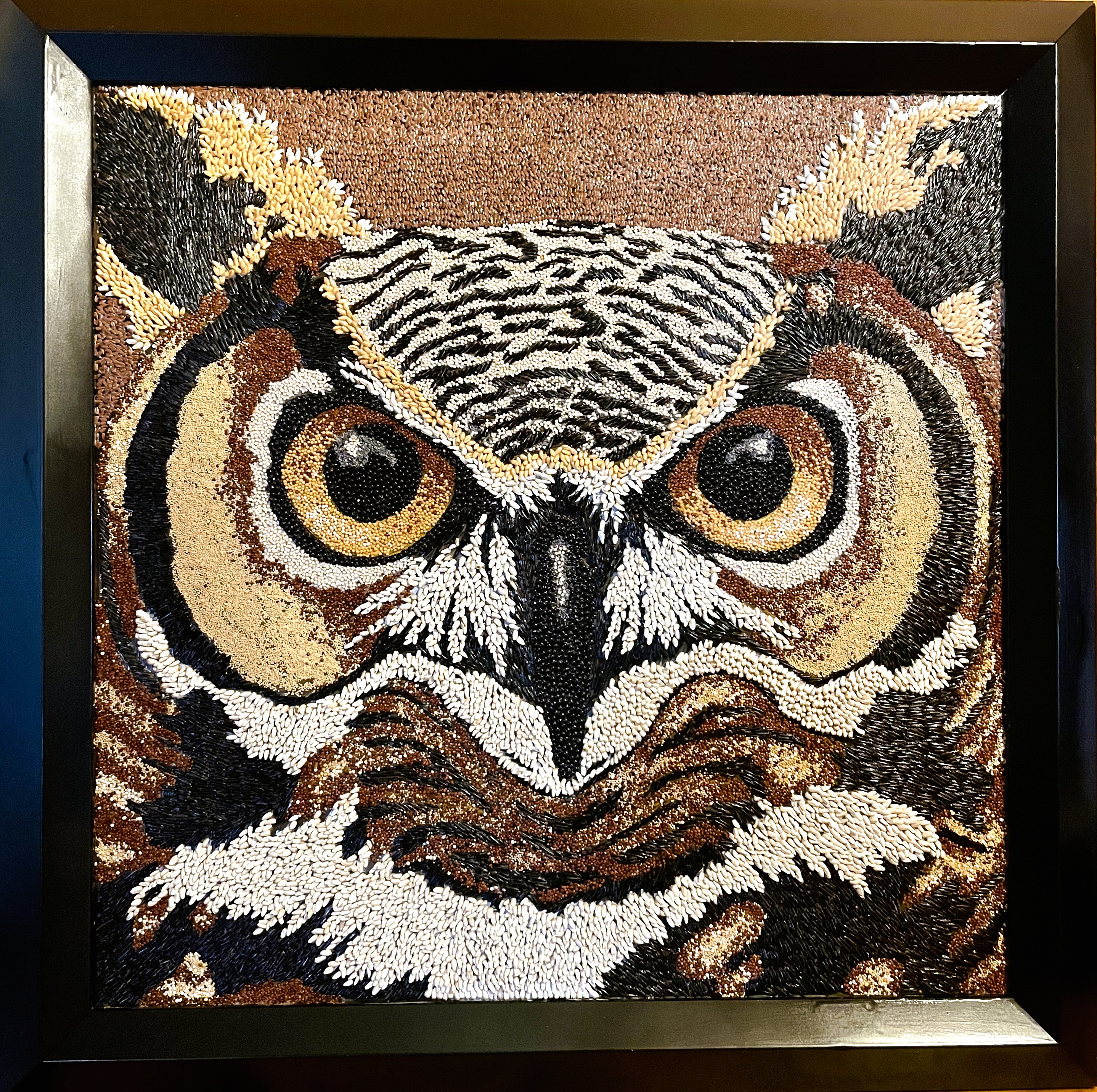 [Jill Osiecki Hoot image]